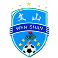 Wenshan Team